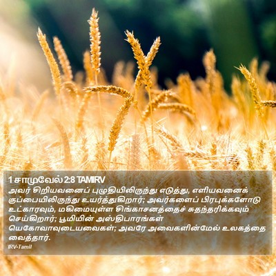 1 சாமுவேல் 2:8 TAMIRV Bible Verse Image