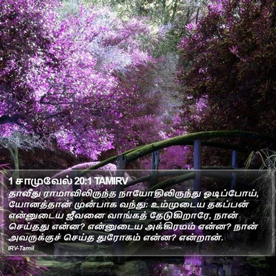 1 சாமுவேல் 20:1 TAMIRV Bible Verse Image