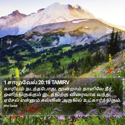 1 சாமுவேல் 20:19 TAMIRV Bible Verse Image