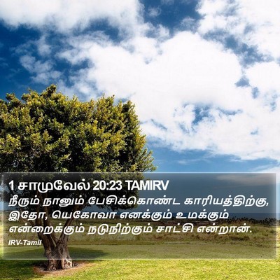 1 சாமுவேல் 20:23 TAMIRV Bible Verse Image