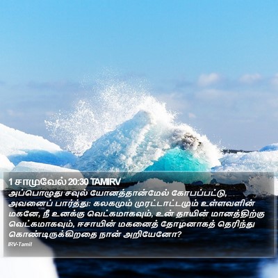 1 சாமுவேல் 20:30 TAMIRV Bible Verse Image