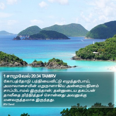 1 சாமுவேல் 20:34 TAMIRV Bible Verse Image