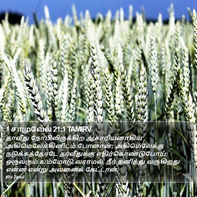 1 சாமுவேல் 21:1 TAMIRV Bible Verse Image