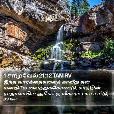 1 சாமுவேல் 21:12 TAMIRV Bible Verse Image