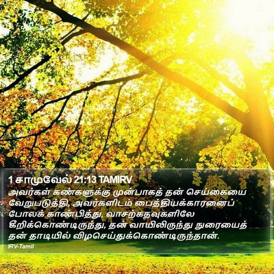 1 சாமுவேல் 21:13 TAMIRV Bible Verse Image