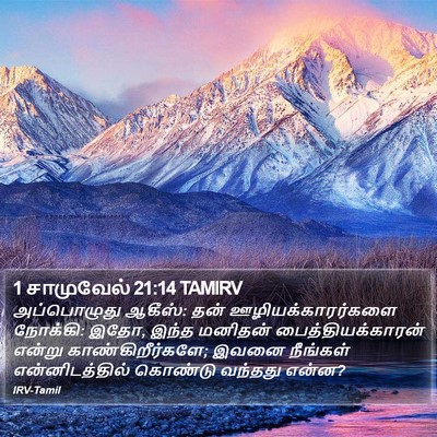 1 சாமுவேல் 21:14 TAMIRV Bible Verse Image