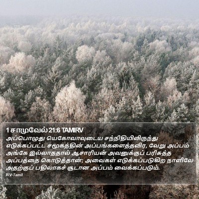 1 சாமுவேல் 21:6 TAMIRV Bible Verse Image