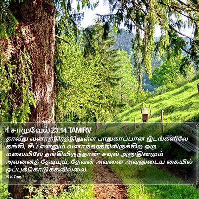 1 சாமுவேல் 23:14 TAMIRV Bible Verse Image