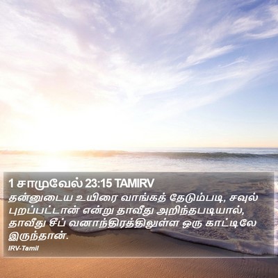 1 சாமுவேல் 23:15 TAMIRV Bible Verse Image