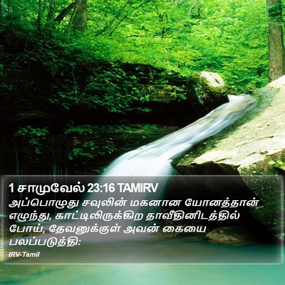 1 சாமுவேல் 23:16 TAMIRV Bible Verse Image