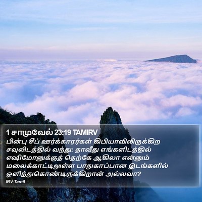 1 சாமுவேல் 23:19 TAMIRV Bible Verse Image