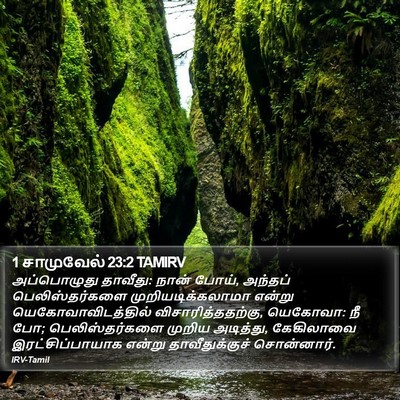 1 சாமுவேல் 23:2 TAMIRV Bible Verse Image
