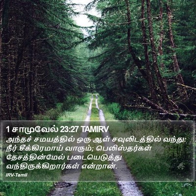 1 சாமுவேல் 23:27 TAMIRV Bible Verse Image