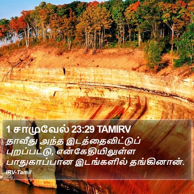 1 சாமுவேல் 23:29 TAMIRV Bible Verse Image