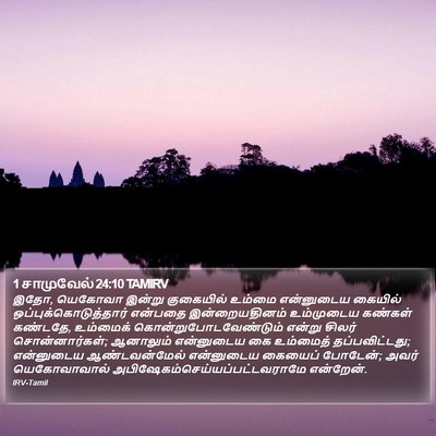 1 சாமுவேல் 24:10 TAMIRV Bible Verse Image