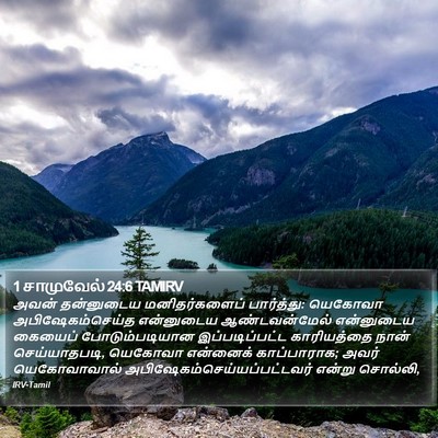 1 சாமுவேல் 24:6 TAMIRV Bible Verse Image