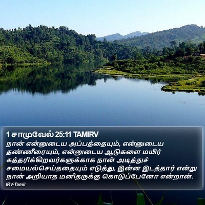 1 சாமுவேல் 25:11 TAMIRV Bible Verse Image