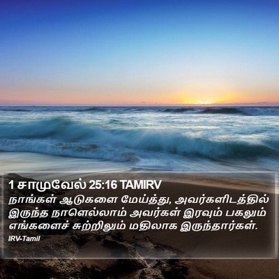 1 சாமுவேல் 25:16 TAMIRV Bible Verse Image