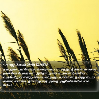 1 சாமுவேல் 25:19 TAMIRV Bible Verse Image