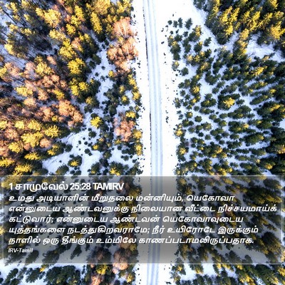 1 சாமுவேல் 25:28 TAMIRV Bible Verse Image