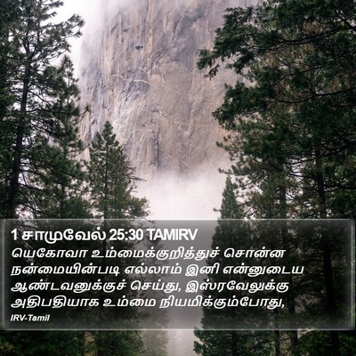 1 சாமுவேல் 25:30 TAMIRV Bible Verse Image