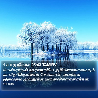 1 சாமுவேல் 25:43 TAMIRV Bible Verse Image