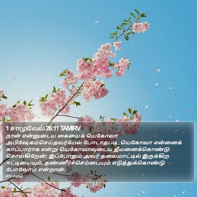 1 சாமுவேல் 26:11 TAMIRV Bible Verse Image
