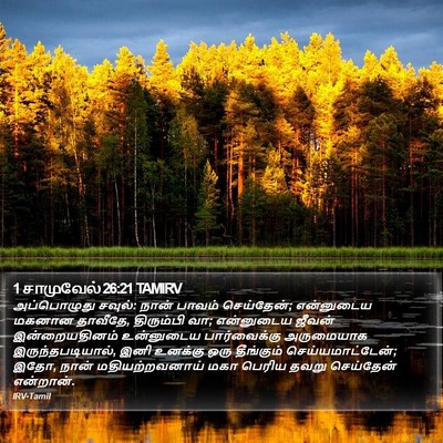1 சாமுவேல் 26:21 TAMIRV Bible Verse Image