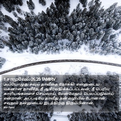 1 சாமுவேல் 26:25 TAMIRV Bible Verse Image