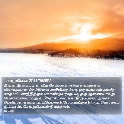 1 சாமுவேல் 27:11 TAMIRV Bible Verse Image