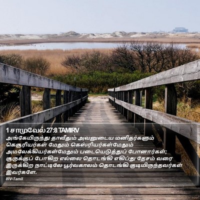1 சாமுவேல் 27:8 TAMIRV Bible Verse Image