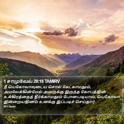 1 சாமுவேல் 28:18 TAMIRV Bible Verse Image