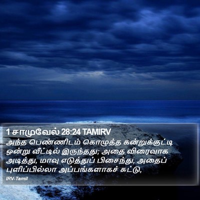 1 சாமுவேல் 28:24 TAMIRV Bible Verse Image