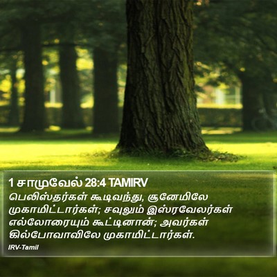 1 சாமுவேல் 28:4 TAMIRV Bible Verse Image