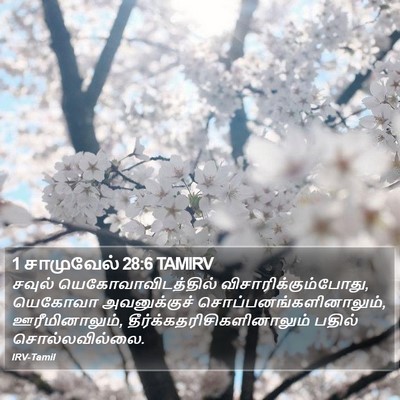 1 சாமுவேல் 28:6 TAMIRV Bible Verse Image