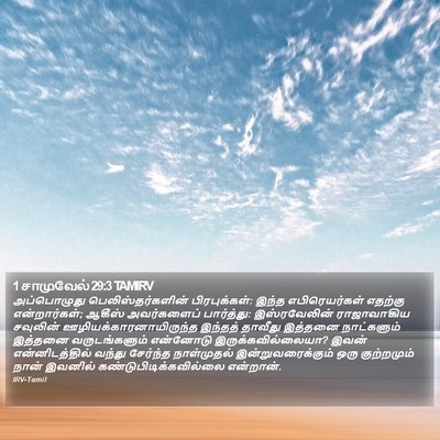 1 சாமுவேல் 29:3 TAMIRV Bible Verse Image