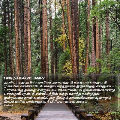 1 சாமுவேல் 29:6 TAMIRV Bible Verse Image