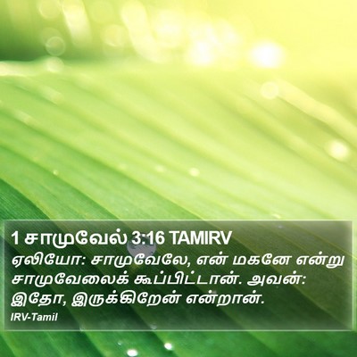 1 சாமுவேல் 3:16 TAMIRV Bible Verse Image