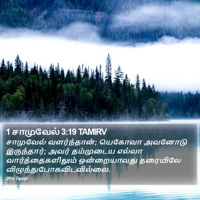 1 சாமுவேல் 3:19 TAMIRV Bible Verse Image