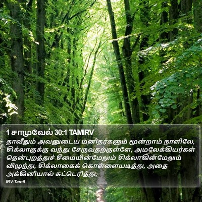 1 சாமுவேல் 30:1 TAMIRV Bible Verse Image