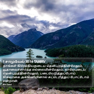 1 சாமுவேல் 30:14 TAMIRV Bible Verse Image