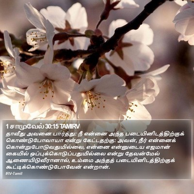 1 சாமுவேல் 30:15 TAMIRV Bible Verse Image