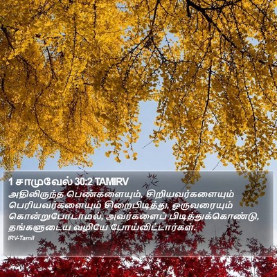 1 சாமுவேல் 30:2 TAMIRV Bible Verse Image