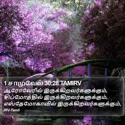 1 சாமுவேல் 30:28 TAMIRV Bible Verse Image