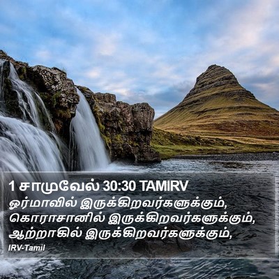 1 சாமுவேல் 30:30 TAMIRV Bible Verse Image