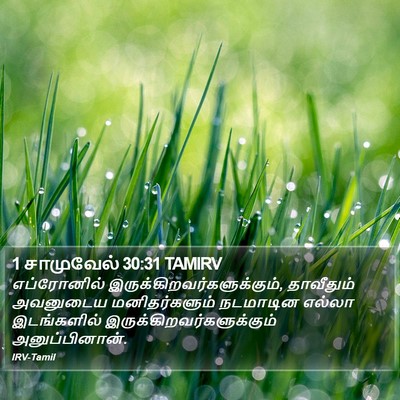 1 சாமுவேல் 30:31 TAMIRV Bible Verse Image