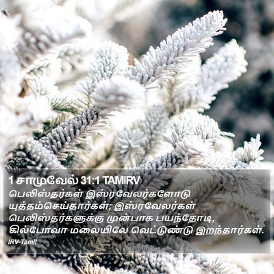 1 சாமுவேல் 31:1 TAMIRV Bible Verse Image