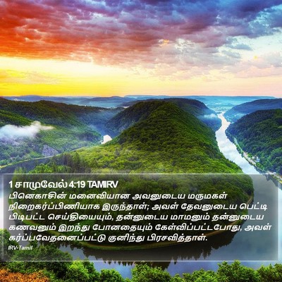 1 சாமுவேல் 4:19 TAMIRV Bible Verse Image