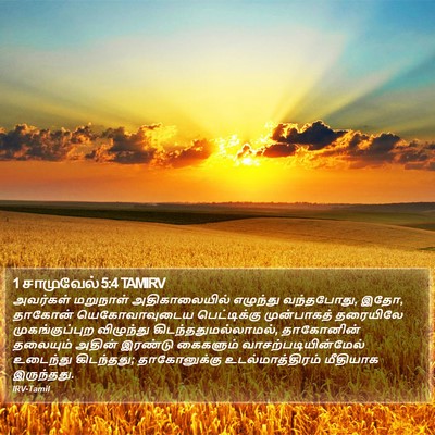 1 சாமுவேல் 5:4 TAMIRV Bible Verse Image