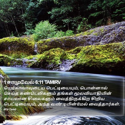1 சாமுவேல் 6:11 TAMIRV Bible Verse Image